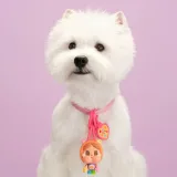 POP MART-CRYBABY × Care Bears Series - Mini Light Blind Box - Banner 5